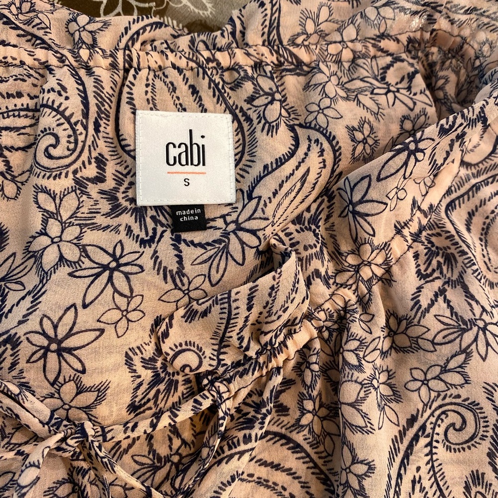 CAbi Blush Dress with Multi Colored Paisley Floral Print